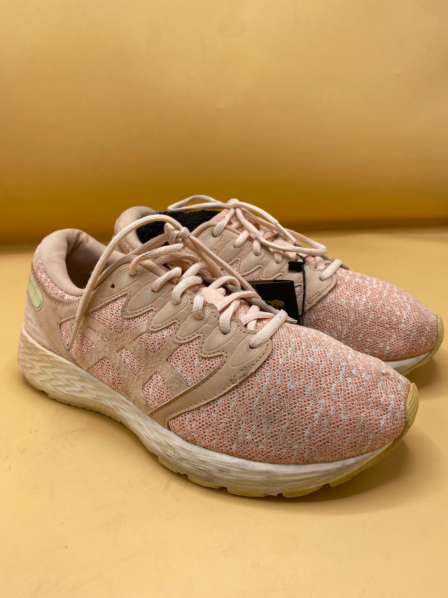 ASICS Roadhawk FF 2 MX