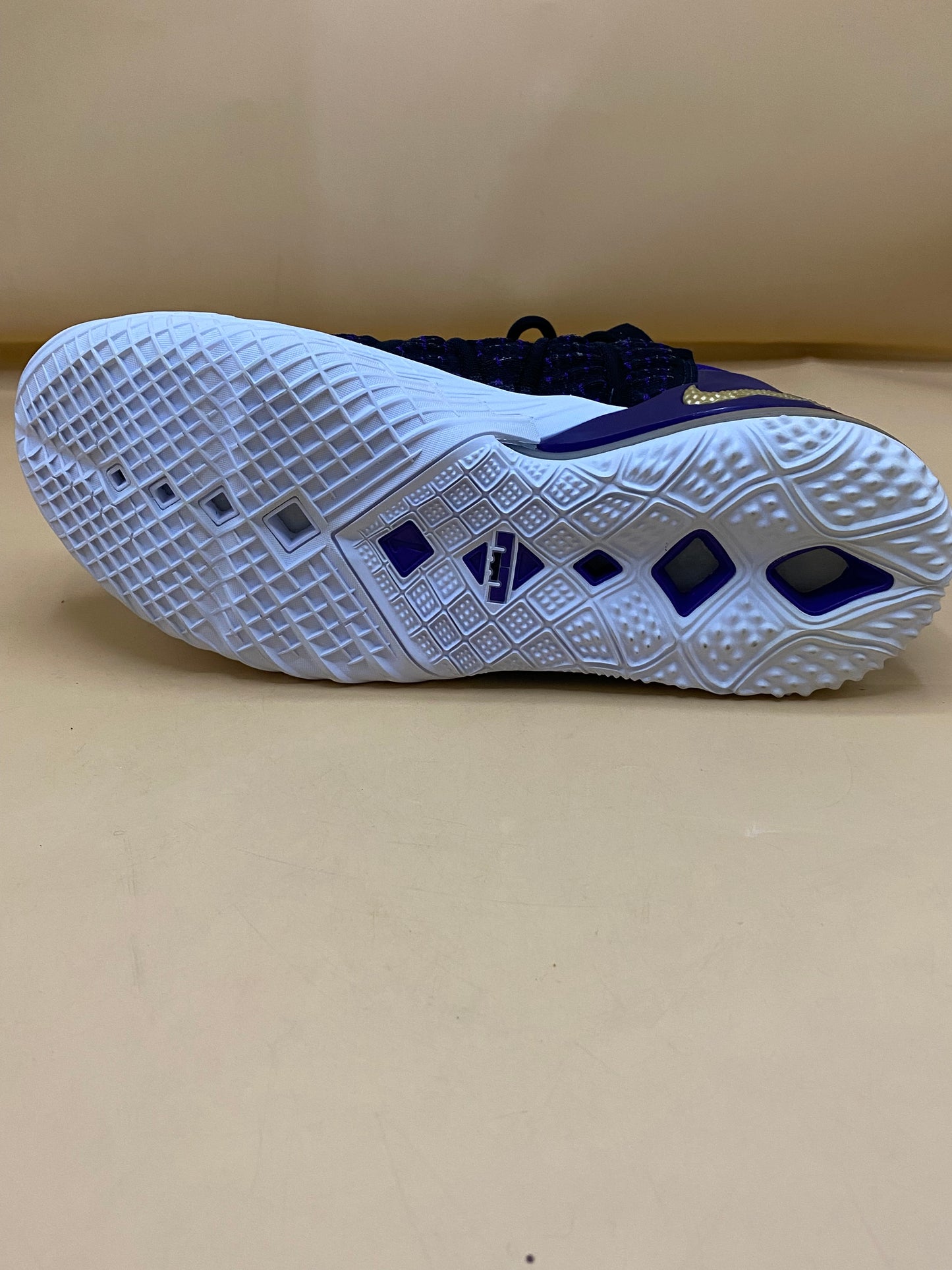 NIKE LEBRON 19 NEW LAKERS BLACK METALLIC GOLD COURT PURPLE WHITE
