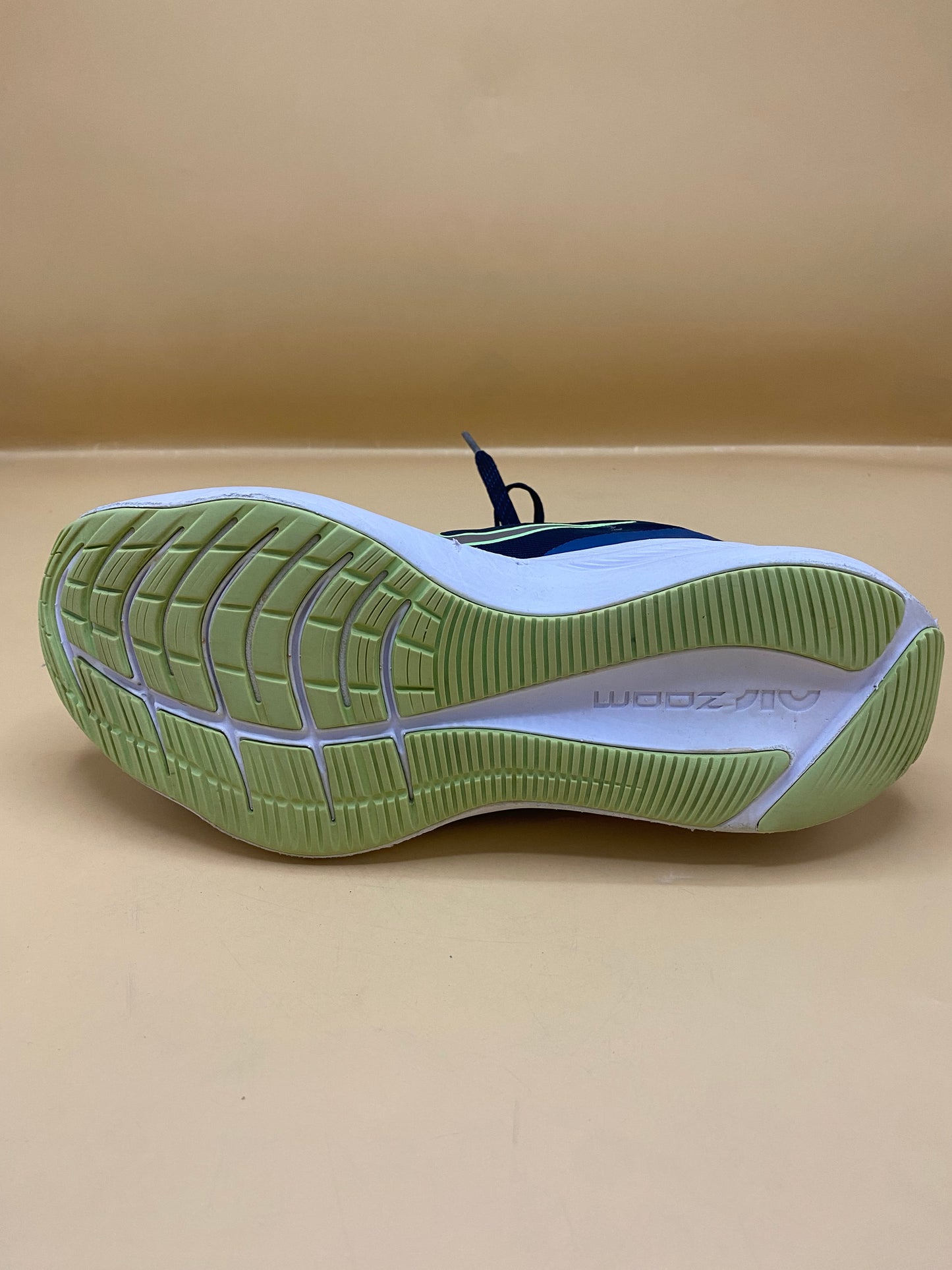 NIkE Men's Nike Zoom Winflo Running Shoes