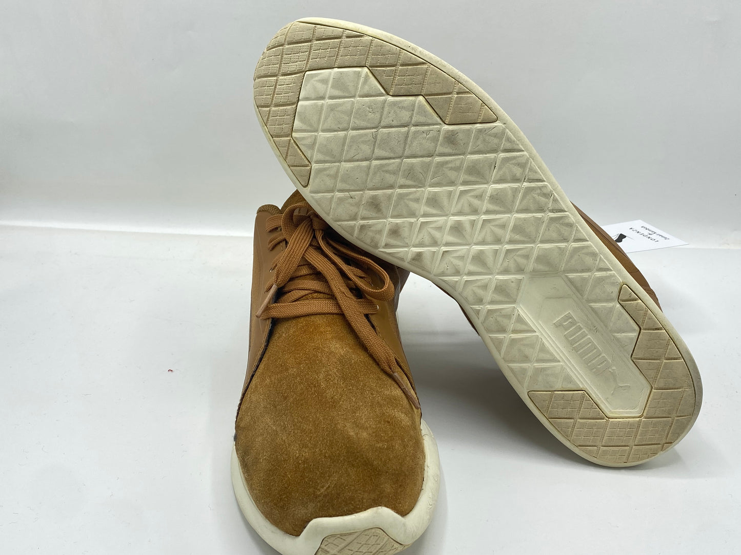 Puma EVO