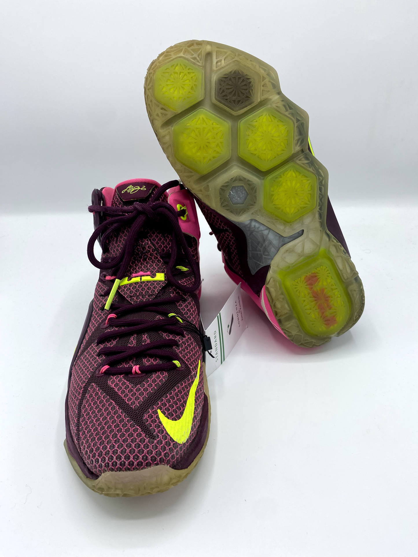 NIKE LeBron 12